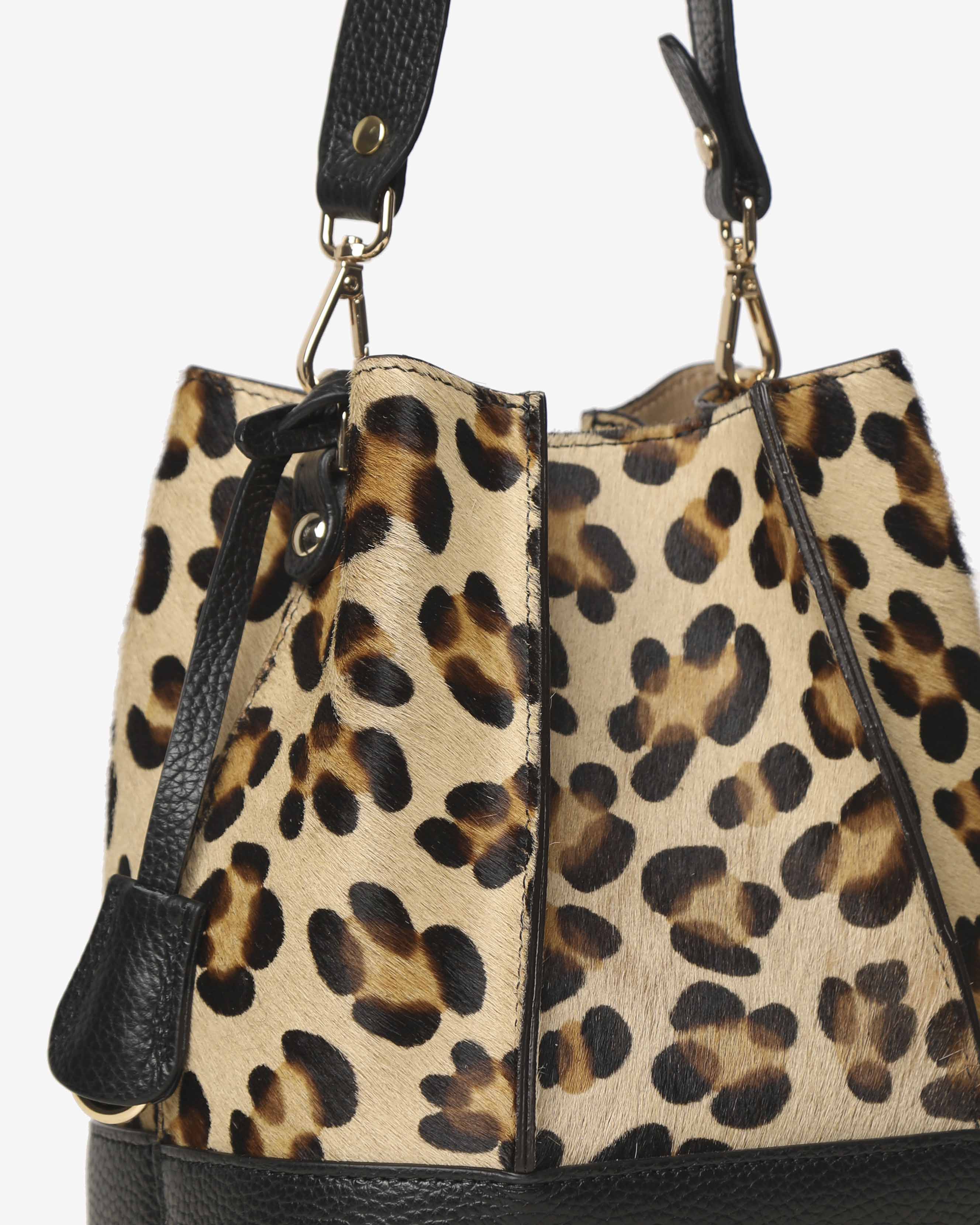 Amelie Pony - Gianni Notaro