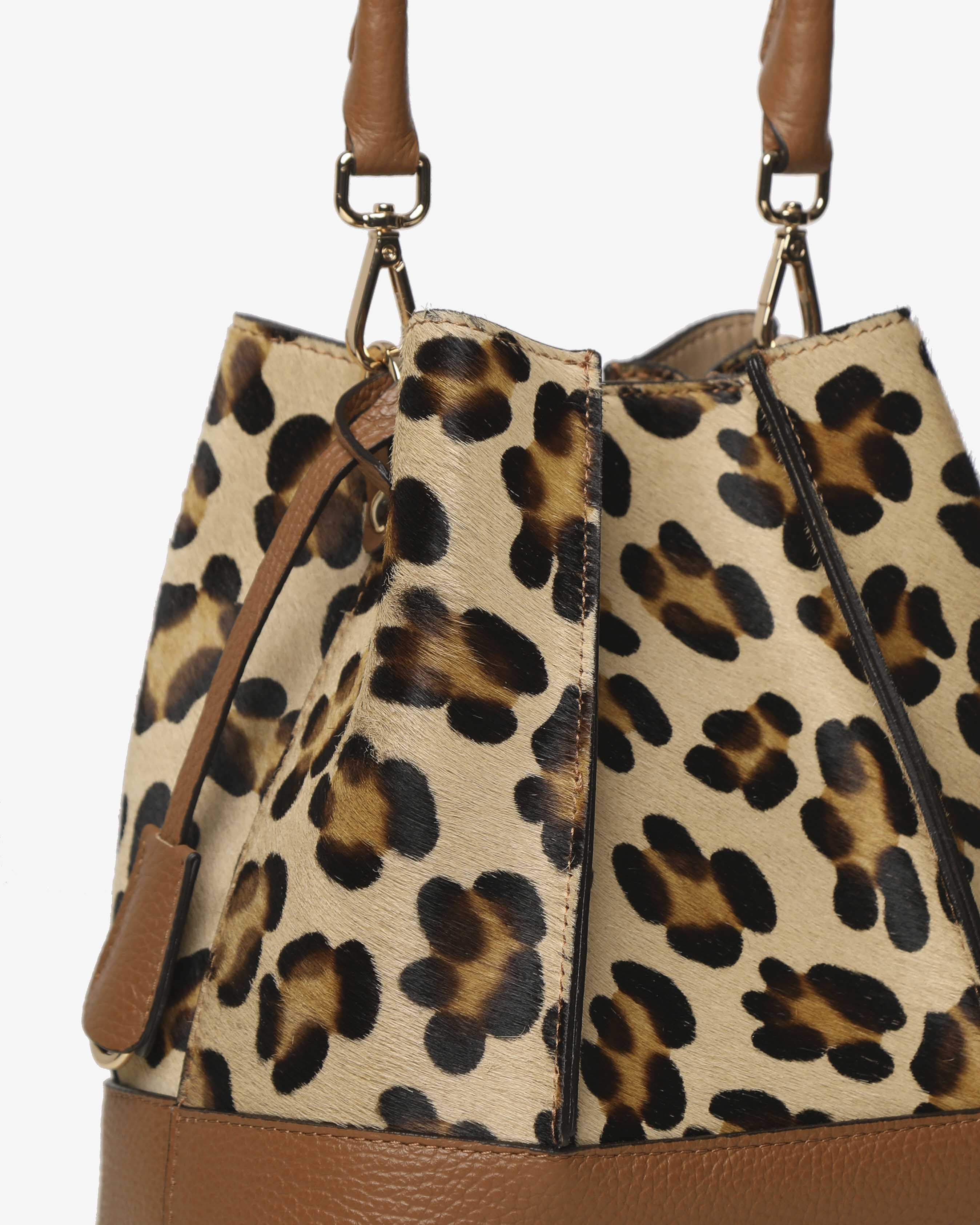 Amelie Pony - Gianni Notaro