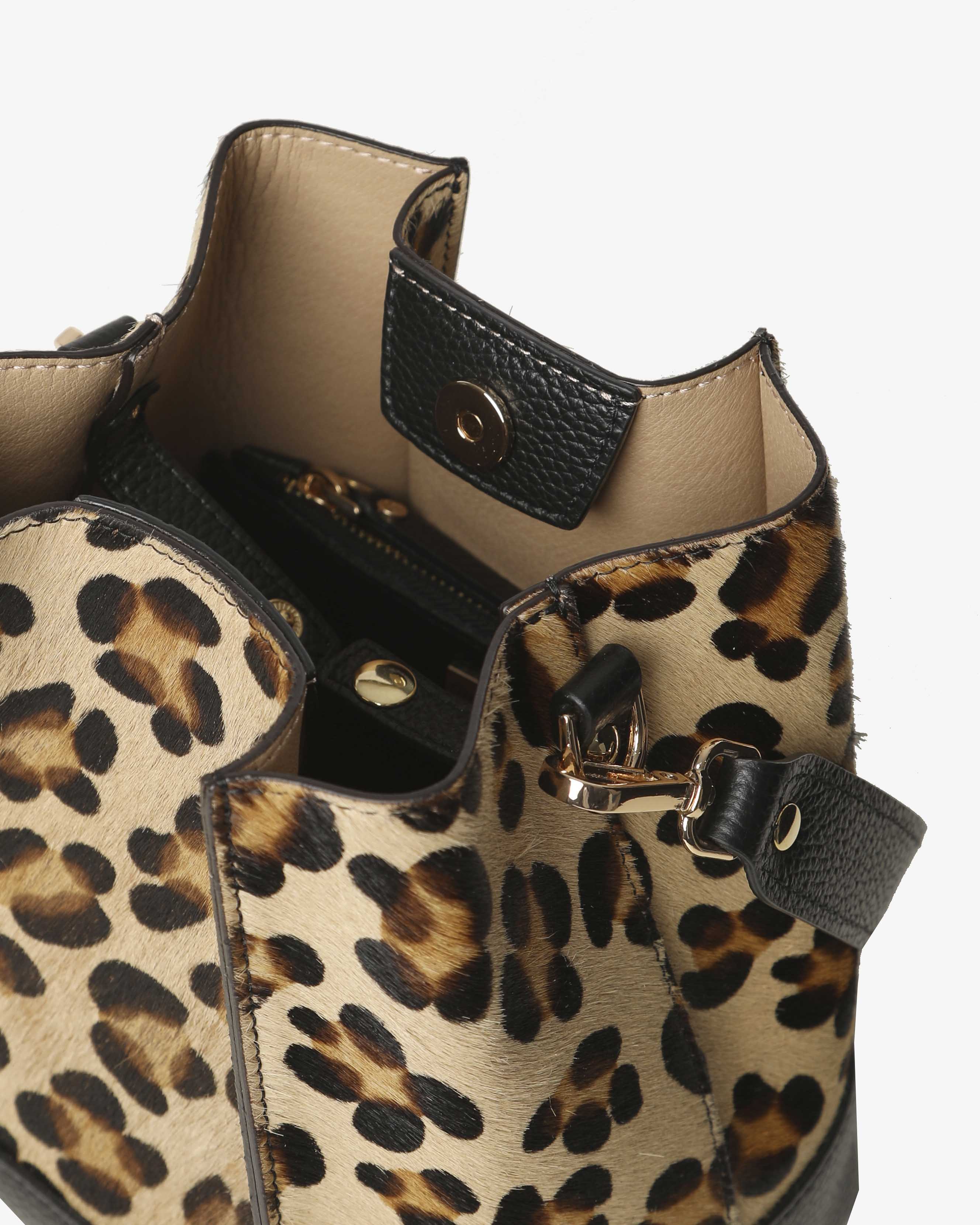 Amelie Pony - Gianni Notaro