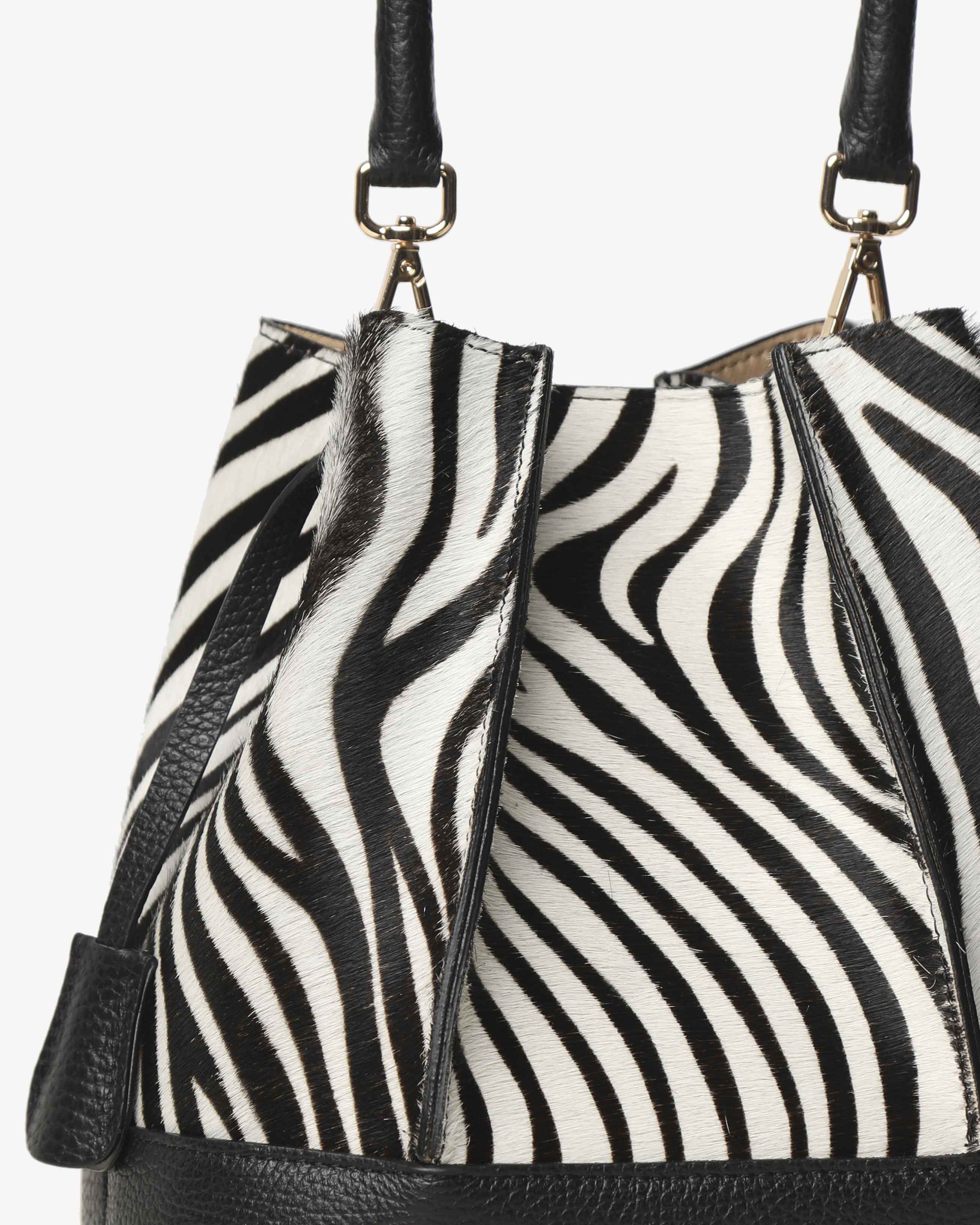 Amelie Pony - Gianni Notaro